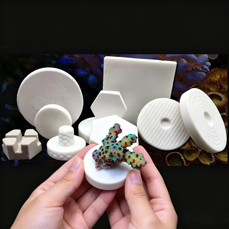 Alas Keramik SPS untuk Coral F - Shelly Plug ulasan dan harga