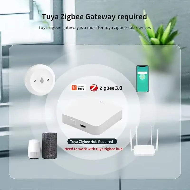 Untuk Tuya ZigBee 3.0 Sensor K - Home Assistant Tuya ulasan dan harga
